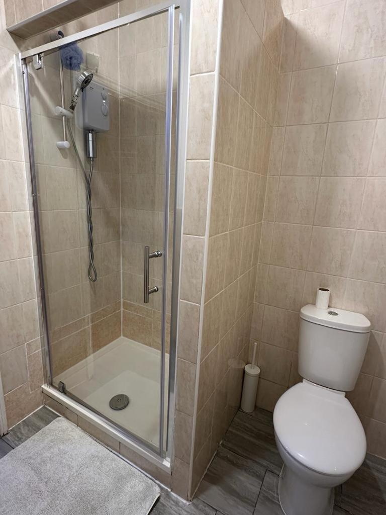 Apartment 10 Minutes To Wembley Guest *